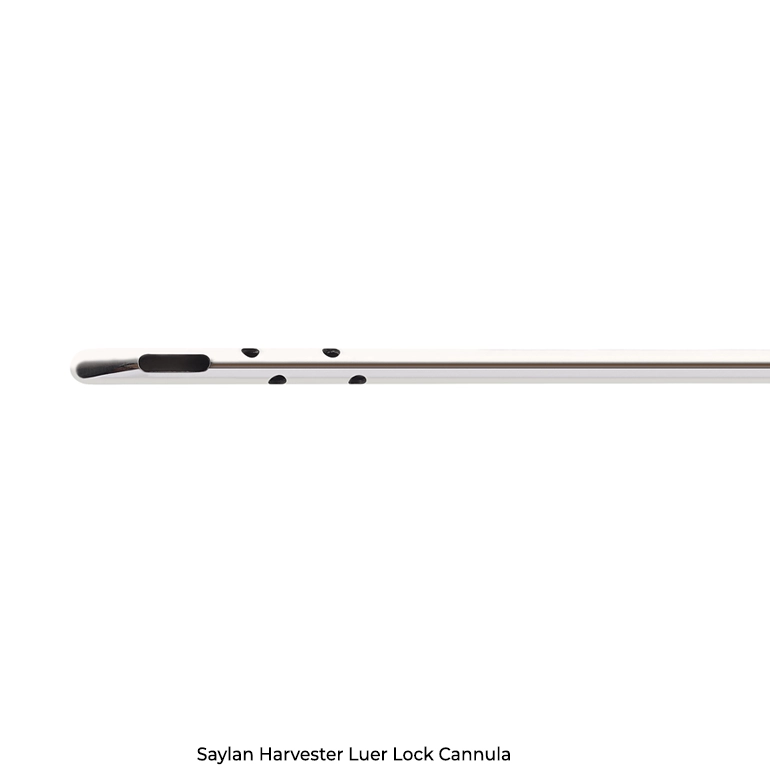 Saylan Harvester Luer Lock Cannula